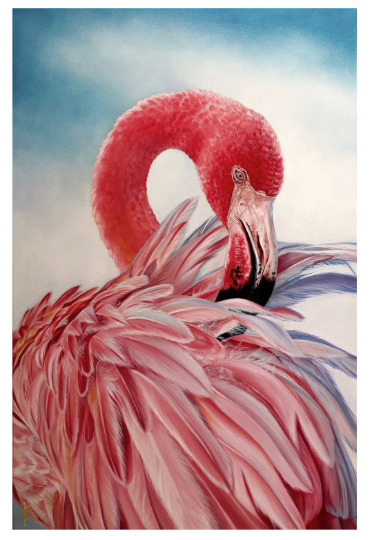 Casa Flamingo🦩